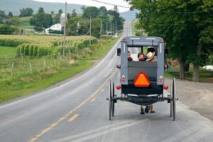 amish.jpg