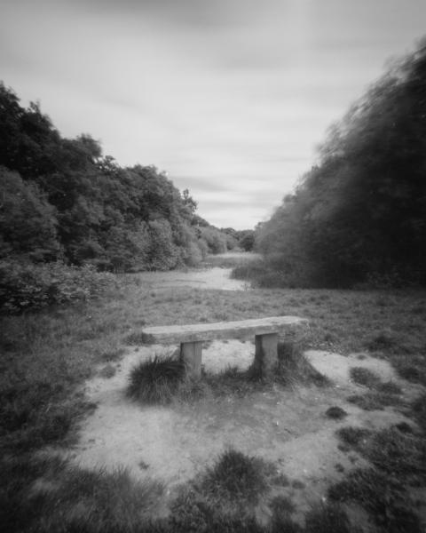 Bench in the Forest, Ondu Fomapan 100