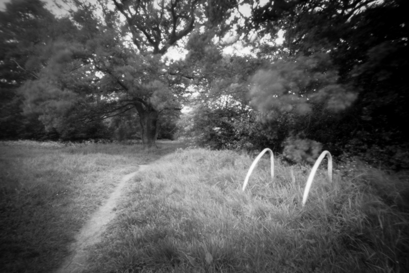 Bike stands in the forest, Pinhole