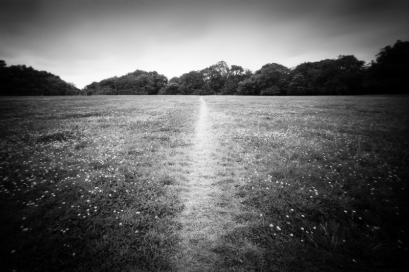 Path, Ondu Pinhole Ilford PanF+