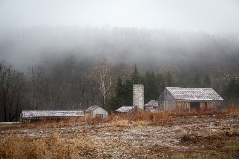 Farm fog, PA