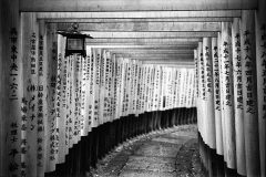 Senbon Torii Shrine in Kyoto