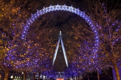 Millennium Wheel Autumn