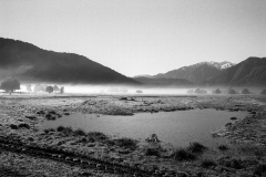 Pond, New Zealand