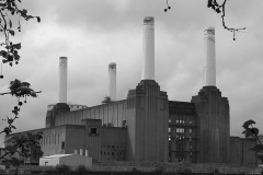 Battersea Black and White 01