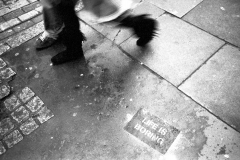 Life is boring pavement