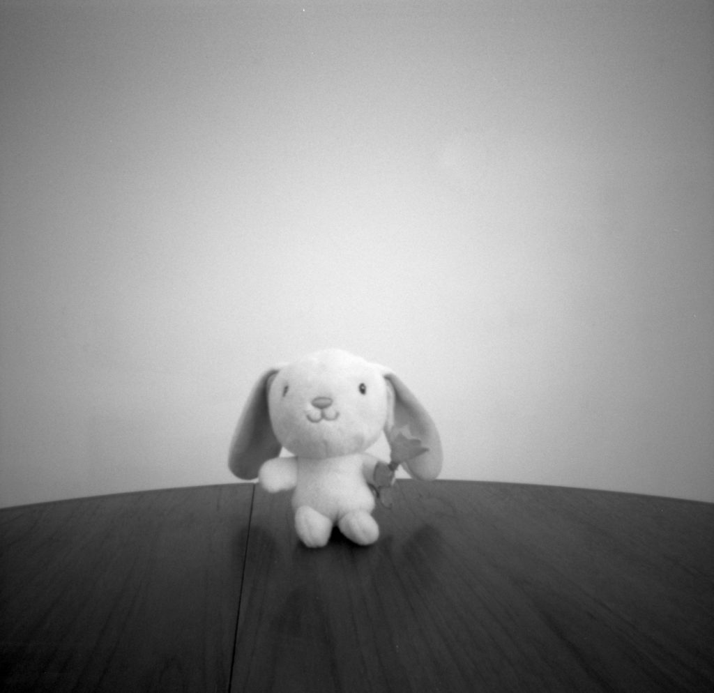 Still life with Ondu Multiformat Pinhole 6x6, Ilford PanF+ EI800