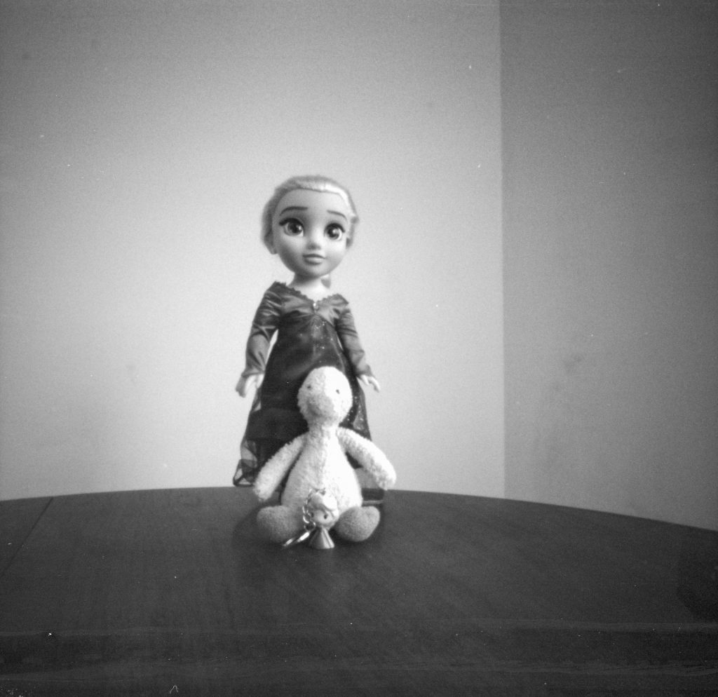 Still life with Ondu Multiformat Pinhole 6x6, Ilford PanF+ EI800