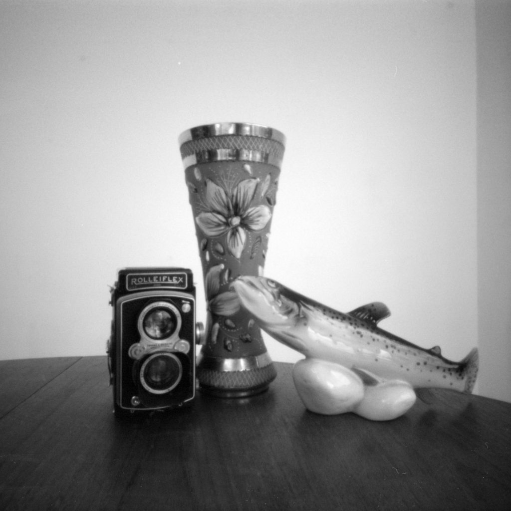 Still life with Ondu Multiformat Pinhole 6x6, Ilford PanF+ EI800