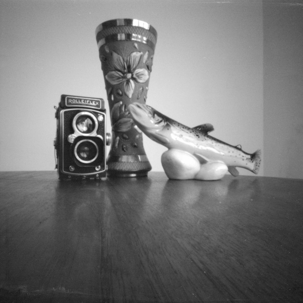 Still life with Ondu Multiformat Pinhole 6x6, Ilford PanF+ EI800