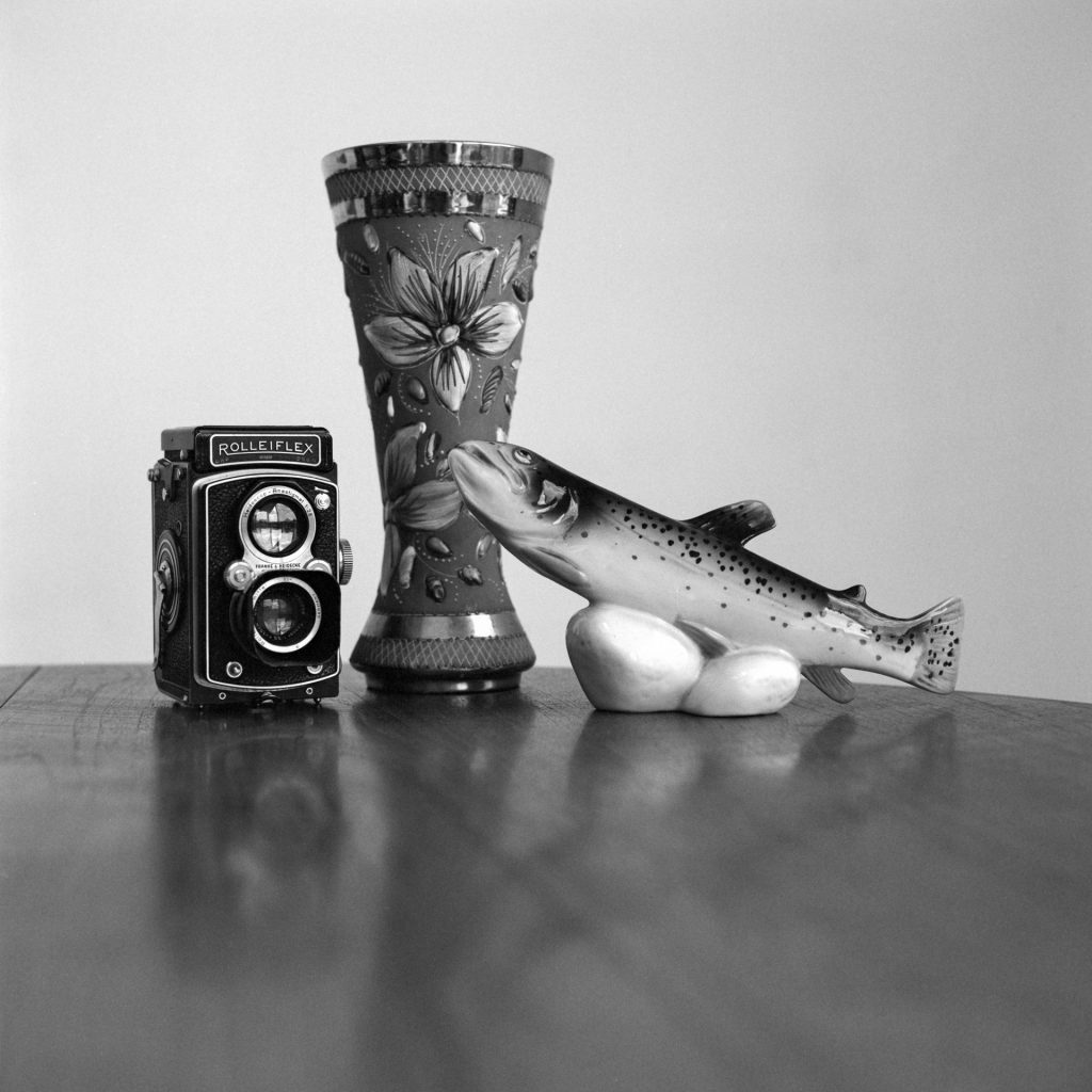 Still life taken with Bronica SQAi and 80mm lens withing Ilford PanF+