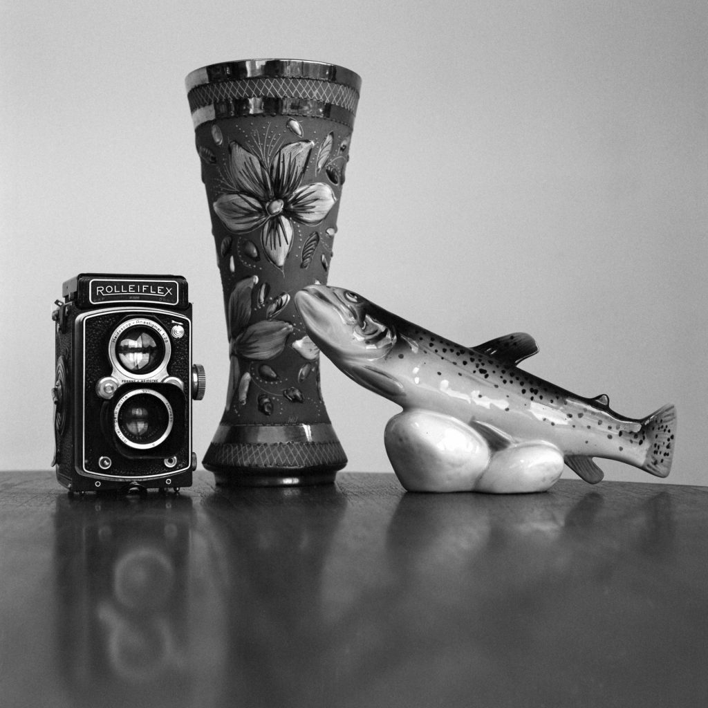 Still life taken with Bronica SQAi and 150mm lens using Ilford PanF+ rated at 800