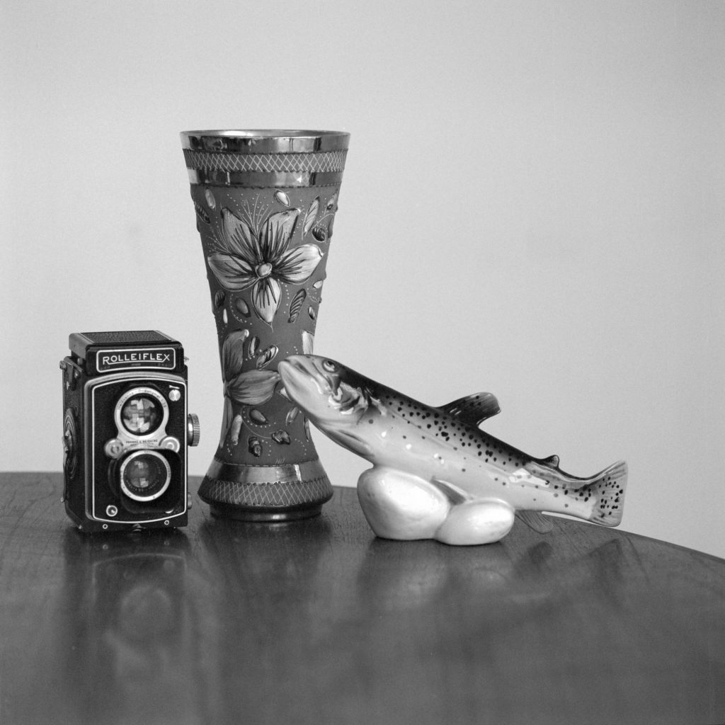 Still life taken with Bronica SQAi and 150mm lens using Ilford PanF+ rated at 800