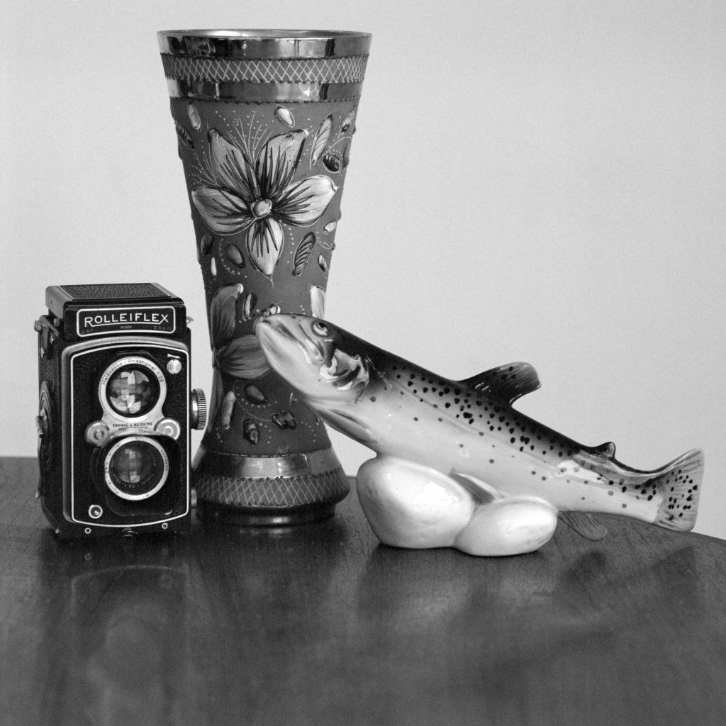 Still life taken with Bronica SQAi and 150mm lens using Ilford PanF+ rated at 800