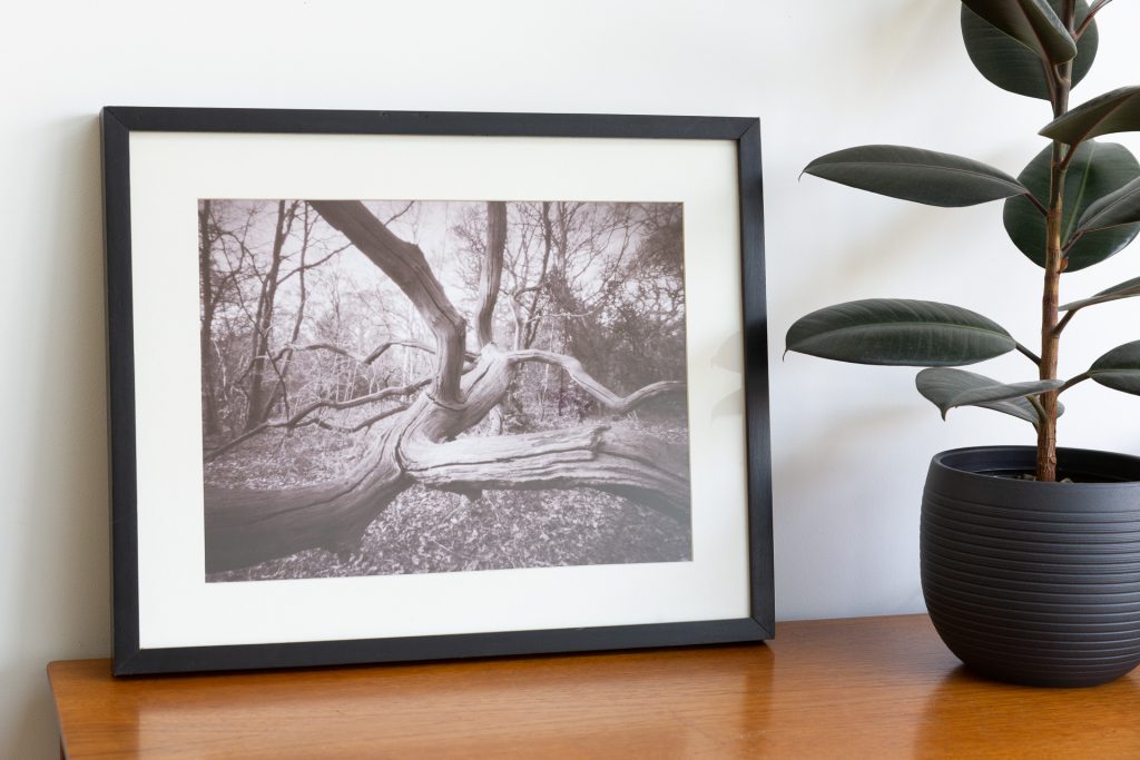 Pinhole print mounted and framed and displayed on a teak sideboard.