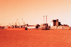 First Impressions: Harman Phoenix RED 125 Redscale Film