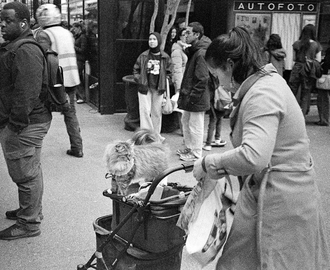 First Impressions: Kiki Pan 320