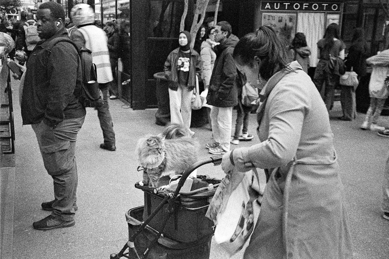 First Impressions: Kiki Pan 320