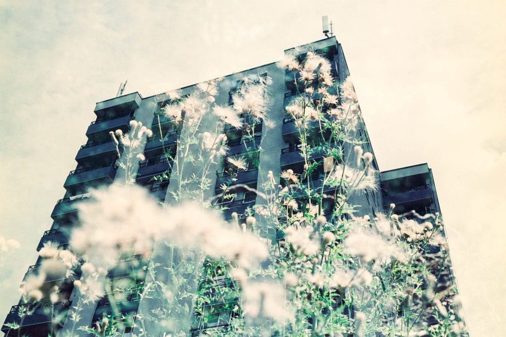 Double exposure of Aldriche Way Estate and the River Ching.