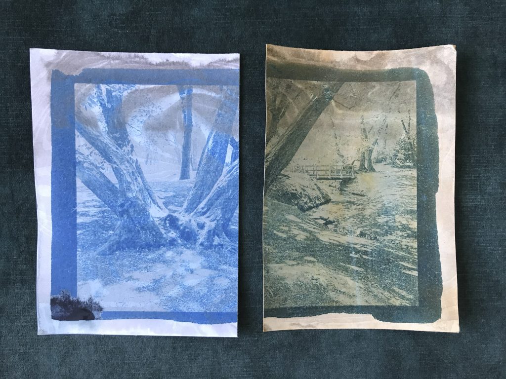 Toning Cyanotype with Iron Water (right)