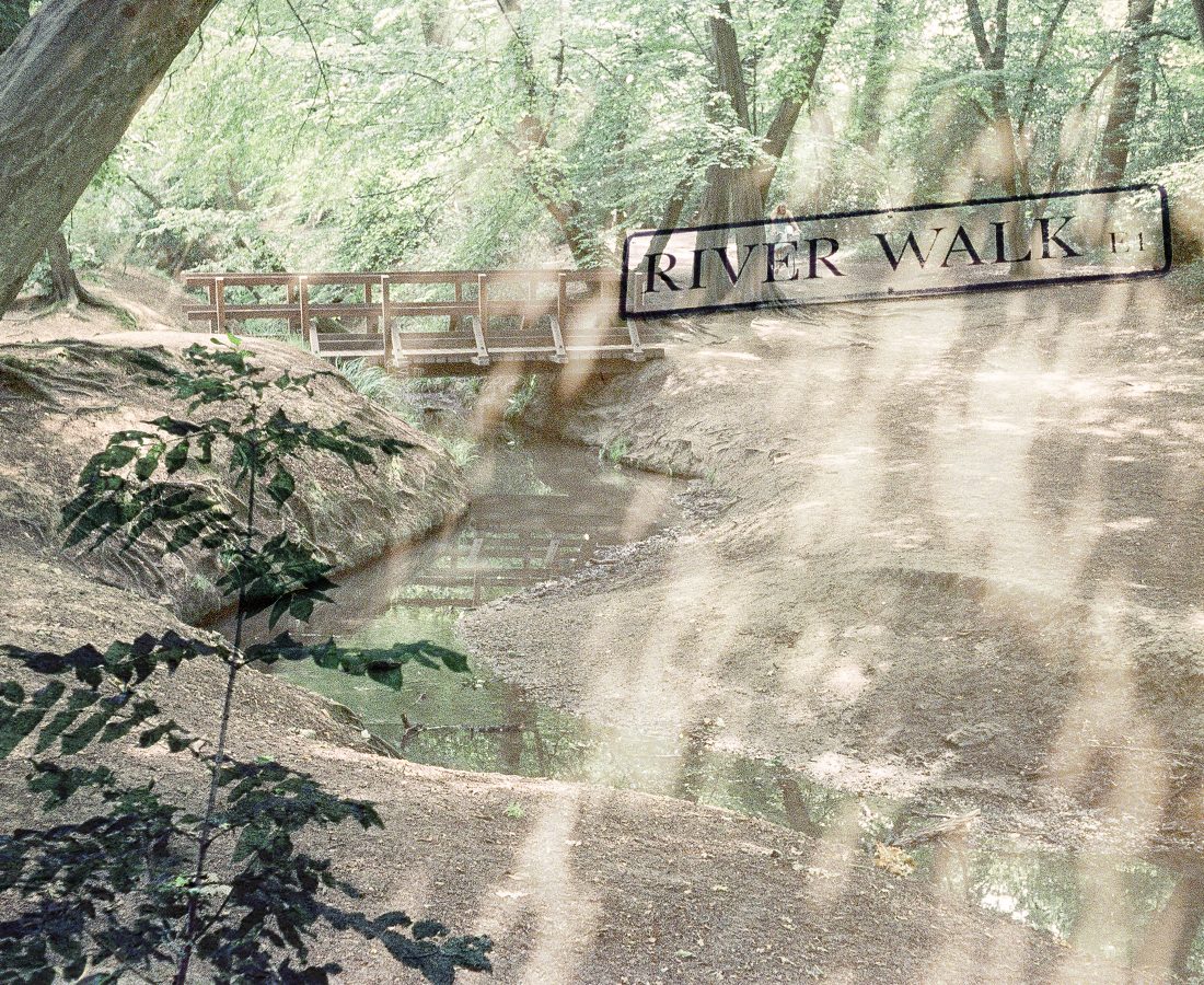 Wildways Along the Ching – Exhibition