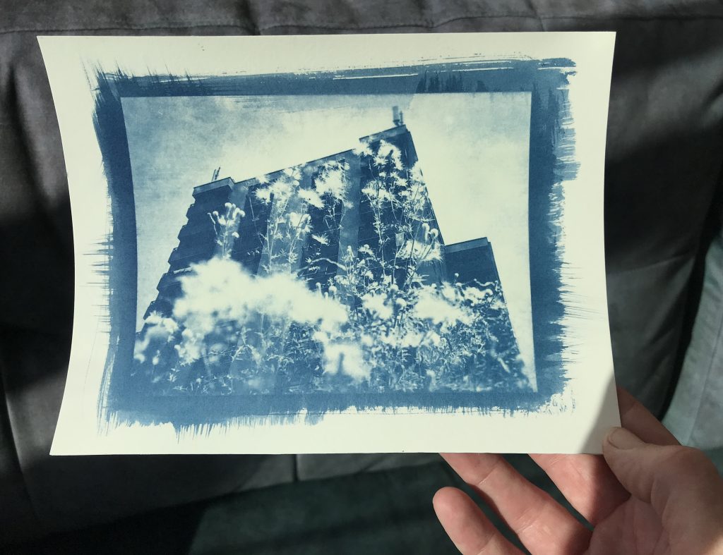 A double exposure negative printed via Cyanotype. 