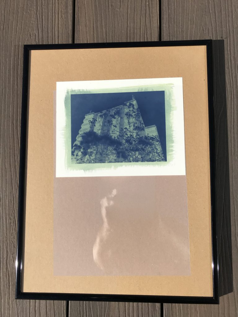 A cyanotype exposing in the sun.